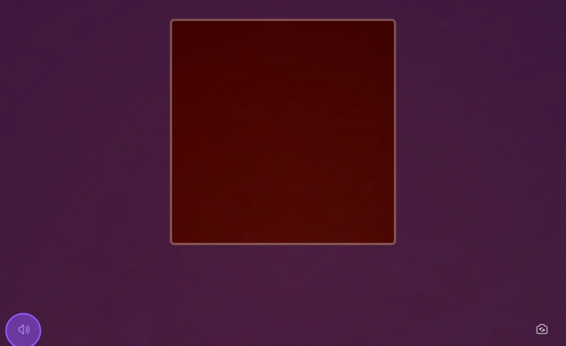 QR scanner interface showing audio toggle